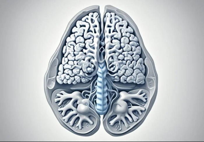 Cognitive and Emotional Symptoms Linked to Chiari Malformation