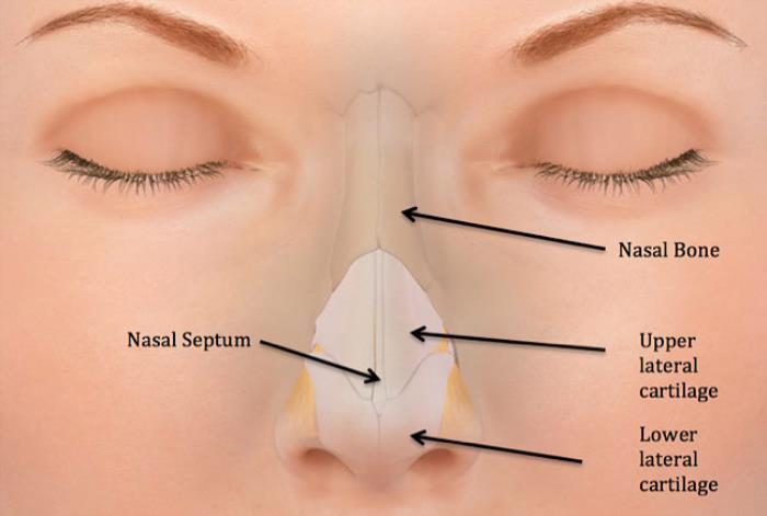 What is Rhinoplasty and How Can It Help