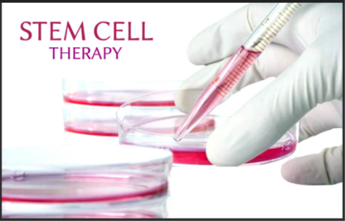 Stem Cell Therapy: Potential for Intestinal Repair