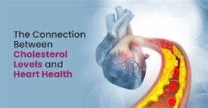 Connection Between Cholesterol Levels and Heart Disease