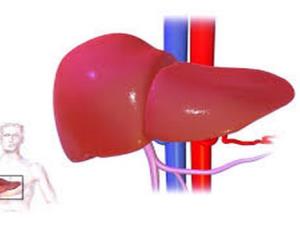 Liver Cancer Treatment without Surgery in India