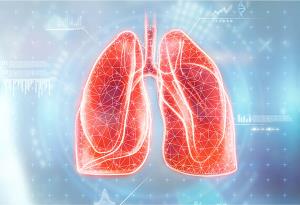 How Organ Matching Works in Lung Transplantation