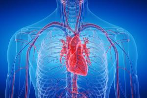 Risks and Complications of Heart Transplant Surgery