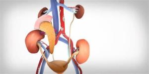 Pancreas Transplant and Its Effect on Kidney Function