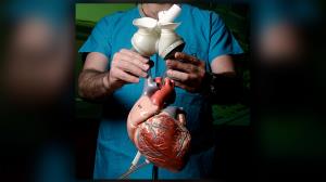 Exploring the Ethical Aspects of Heart Transplantation