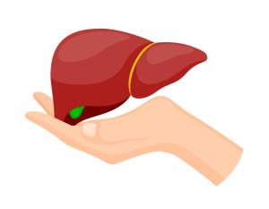 How Lifestyle Changes Can Boost Liver Transplant Success