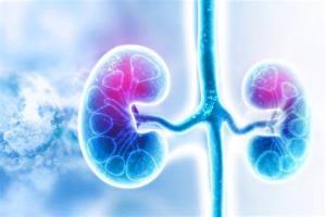 The Risks and Complications of Kidney Transplantation