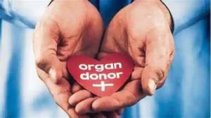 How Organ Matching Works for Heart Transplants in India