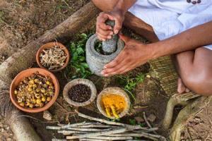 The Role of Ayurveda and Traditional Medicine in Kidney Transplant Recovery