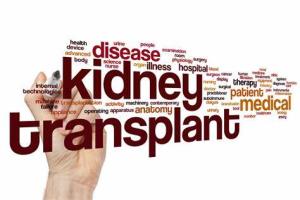 How to Identify Early Signs of Kidney Transplant Rejection