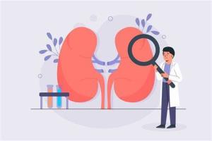 Kidney Transplantation and the Importance of Maintaining Proper Hydration