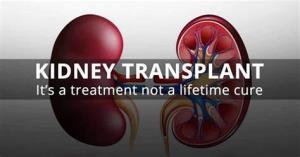 How to Stay Healthy Before and After Kidney Transplant Surgery