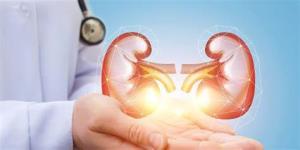 Strategies to Avoid Infections Post-Kidney Transplant Surgery