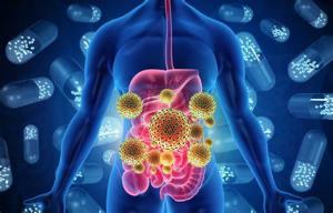 The Impact of Intestine Transplant on Digestive Health