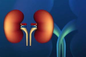 Understanding the Organ Allocation Process for Kidney Transplants in India