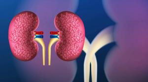 The Role of Telemedicine in Kidney Post-Transplant Care