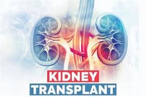 Kidney Transplant in India