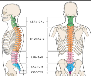 When Should You Consider Spinal Fusion Surgery?