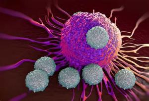 Immunotherapy for cancer treatment in India.