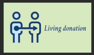 Living Donor Intestine Transplant: Risks, Benefits, and Success Stories