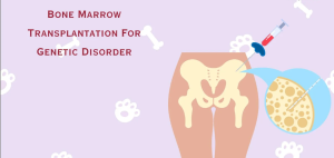 How Genetics Influence Bone Marrow Disorders and Transplant Success