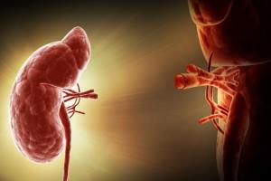 Kidney Transplant vs. Dialysis: Making the Right Choice for You | Treatment Comparison & Guidance