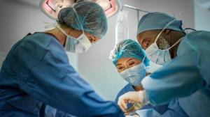 Liver Transplant Procedure: What to Expect Before, During, and After Surgery