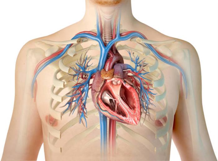 TAVR vs. Traditional Open-Heart Surgery