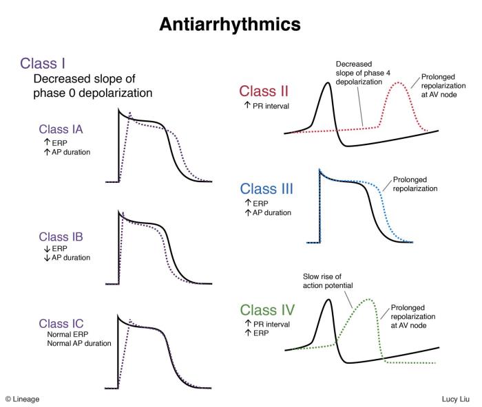 Antiarrhythmics Controlling Irregular Heartbeats