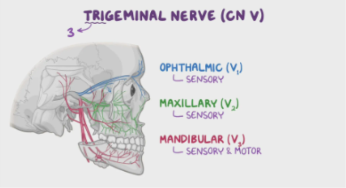 Innovative Surgical Techniques for Trigeminal Neuralgia