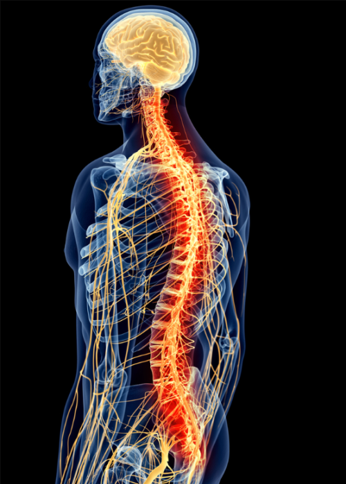 The Impact of Spinal Cord Surgery on Long-Term Pain Relief