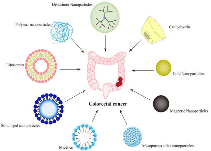 Mechanisms of Action in Targeted Therapy for Colon Cancer