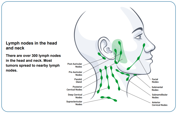 Lymp Node in head and neck