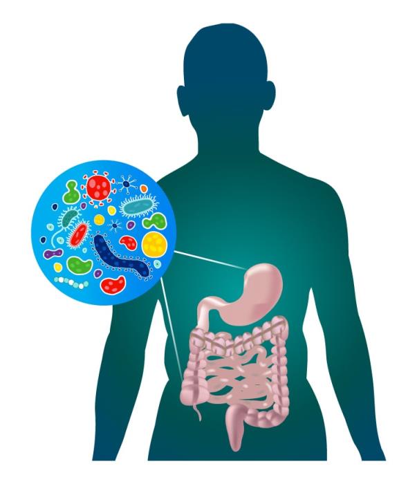 Changes in Gut Microbiome Composition After Balloon Placement