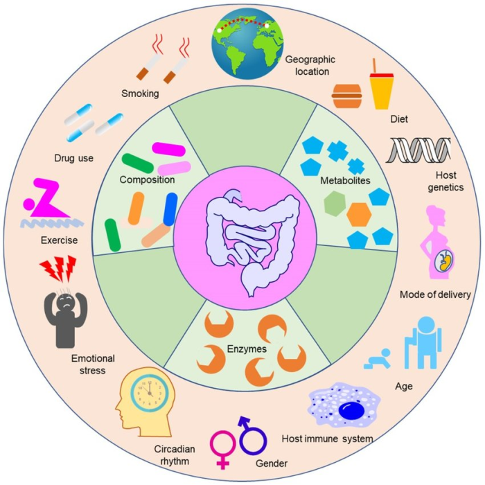 Weight Loss Surgery Affects Gut Microbiota Composition