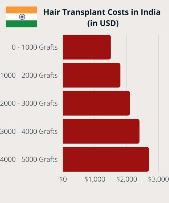 Factors Influencing Hair Transplant Costs in India