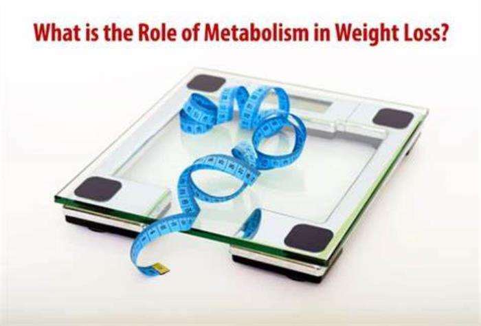 The Role of Metabolism in Weight Loss Plateaus