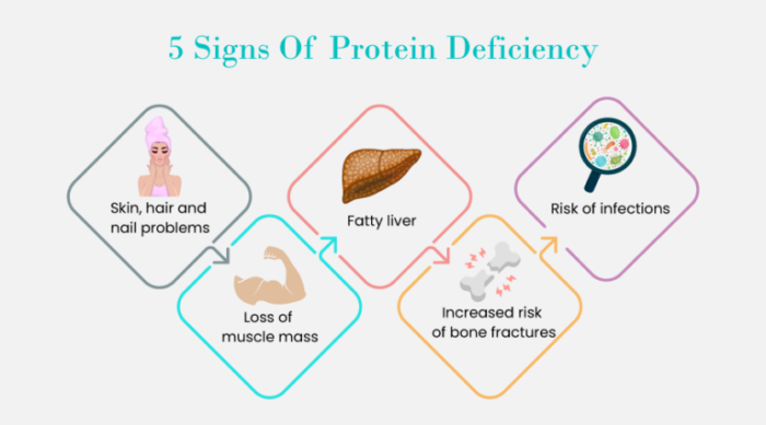 Recognizing the Signs and Symptoms of Protein Deficiency