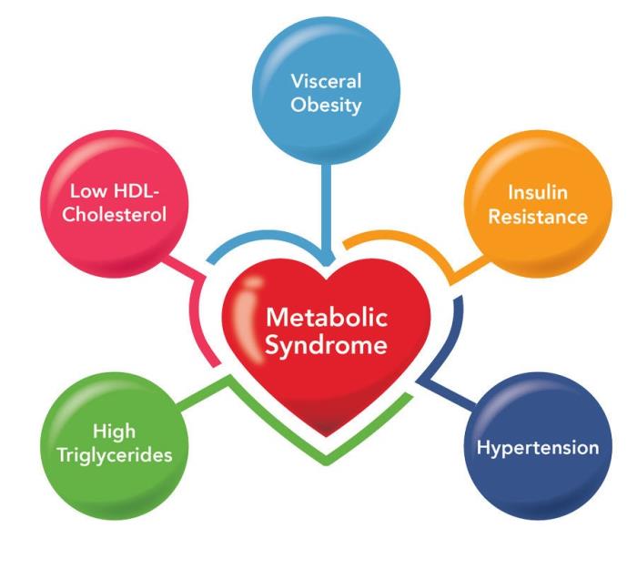 How Weight Loss Affects Metabolic Syndrome