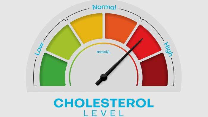 How Diet and Physical Activity Influence Blood Pressure and Cholesterol After Balloon Treatment