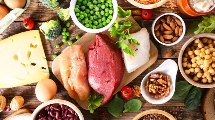 Importance of a High-Protein