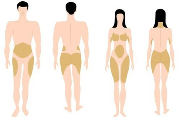 How Do Genetic Factors Influence Fat Distribution in the Thighs?