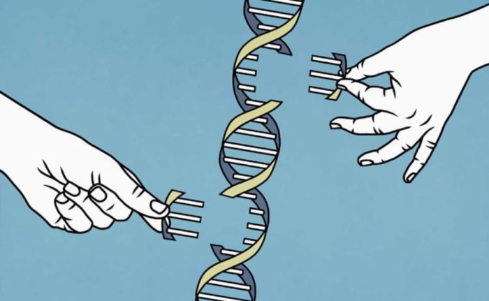 What Future Advances in Genetics Might Impact Thigh Surgery?