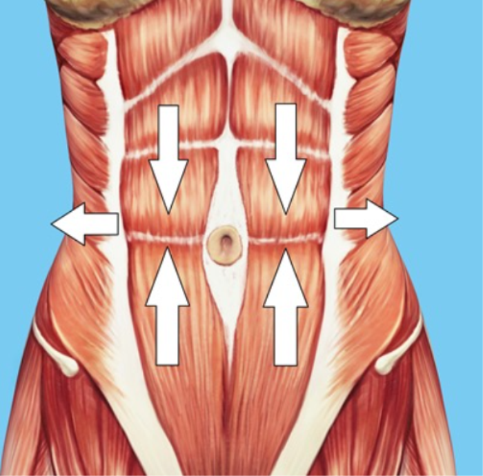 Why Do Abdominal Muscles Weaken or Separate?