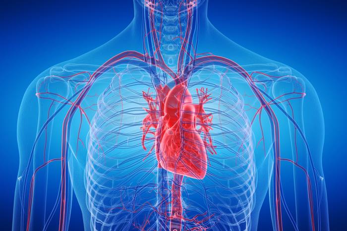 Why Diabetes Increases Risks in Heart Transplant Patients