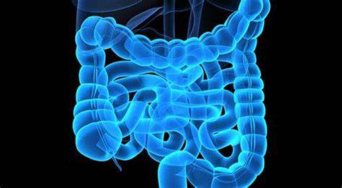 Impact of Post-Surgical Adhesions on Intestinal Function