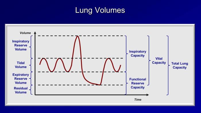 Factors Influencing Lung Function Test Results After Transplant