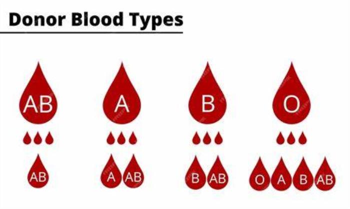 Assessing Blood Type Compatibility for Kidney Donation