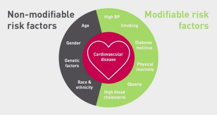 Understanding Risk Factors for Cardiovascular Disease