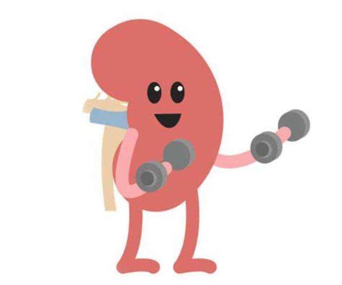 Staying Active: Exercise Tips Before Kidney Transplant Surgery